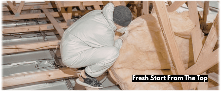 Attic Cleaning Woodlands TX